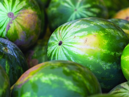 3 tips to pick sweetest watermelon