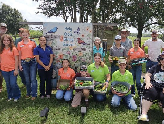 4-H Ambassadors visit Holy Cross giving garden for service project