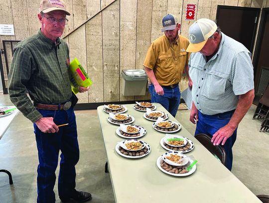 62nd Annual DeWitt County Pecan Show Results
