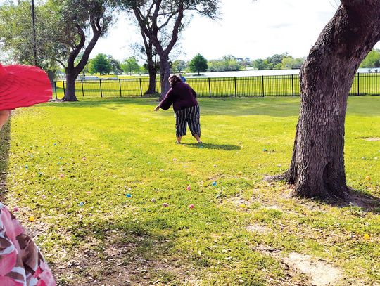Auxiliary Egg Hunt