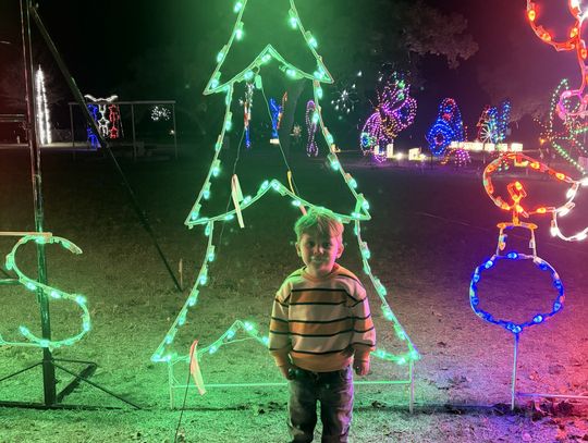 Christmas in the Park