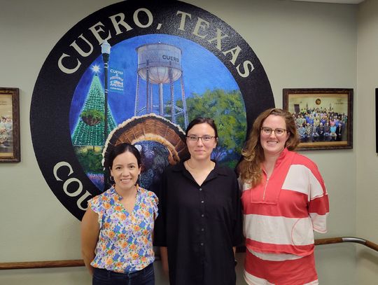 City Council hears plan for library's 'Friends' group
