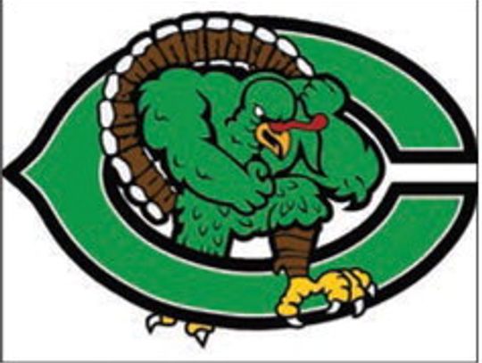 Cuero Softball 2025 District Honors