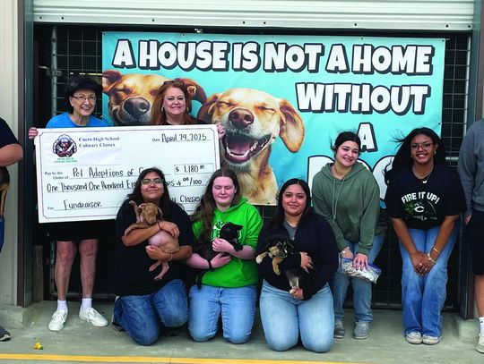 Culinary students' talents going to the DOGS