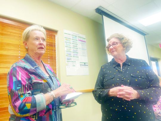 DCRSP members donate time to community service