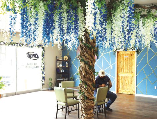 A customer waits for his “loaded tea” under the colorful paper tree in the newly opened Herbal Delights, 205 S. Esplanade. Owner Casey Salazar has a creative and modern eye, providing a grass background with a neon sign for sel_es. (Staff Photo)