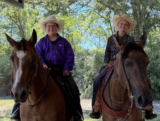 DeWitt County 4-H Riders Compete at State Horse Show