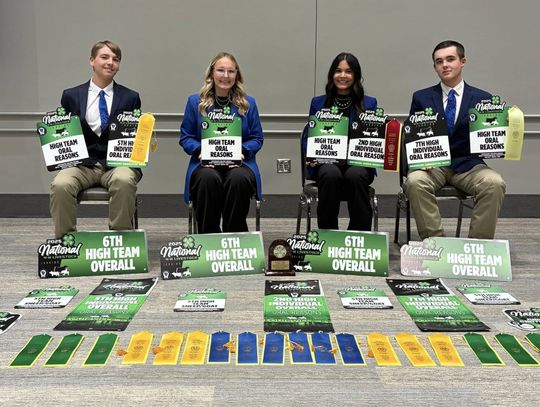 DeWitt County 4H wins honors