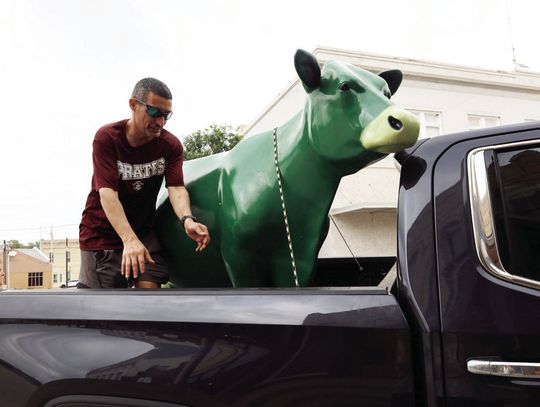 Emmy the Green Cow is mooving