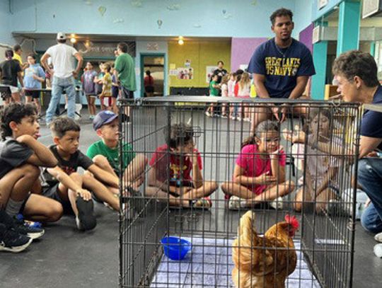 Farm Day at Boys and Girls Club