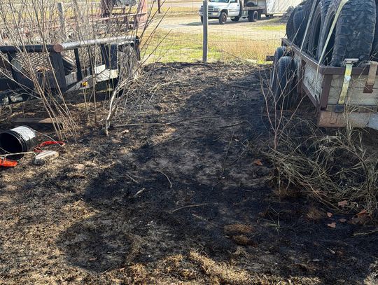 Fireworks cause grass fire