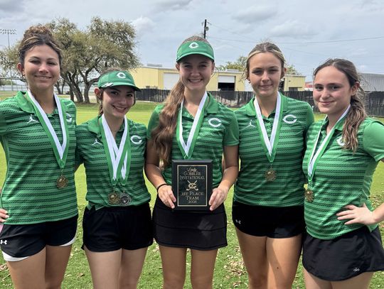 Golden day on the greens