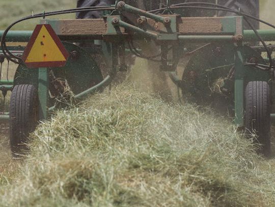Hay, forage conditions improve with rainfall