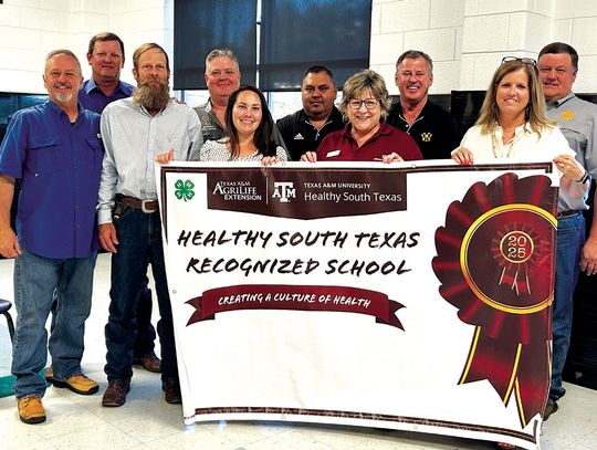 Healthy School Award