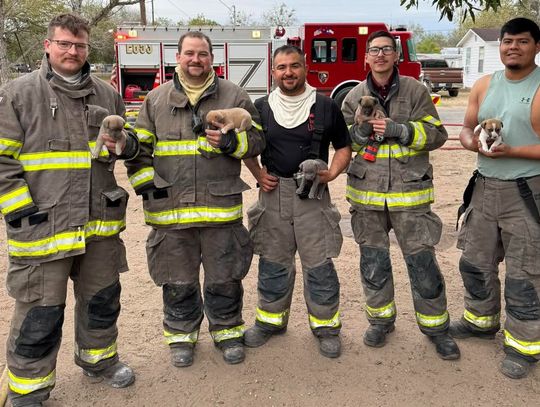 Heroes put out fire, save 5 tiny lives