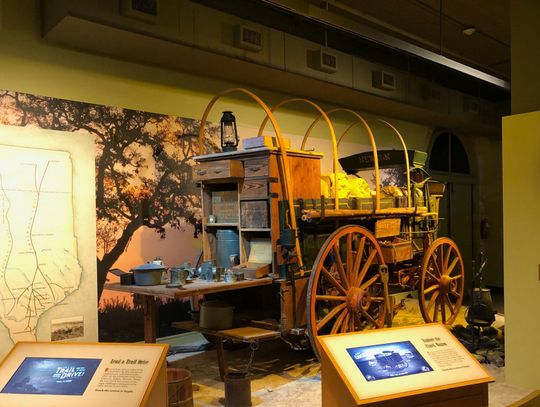 Holiday things to do in your own backyard