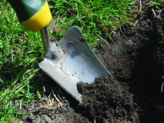 How to get good dirt: start with soil test