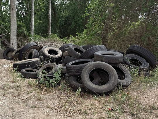 Dozens of commercial tires were recently dumped on Edgar Leesville Rd. in Precinct 2 and will cost approximately $2,200 to clean up. (Contributed by Brenda Lopez of Precinct 2)
