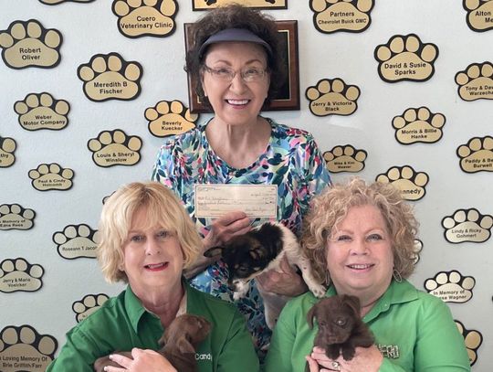 KCB Cleanup contest results released