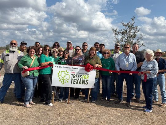 KCB, volunteers plant trees with help of city leaders, HEB