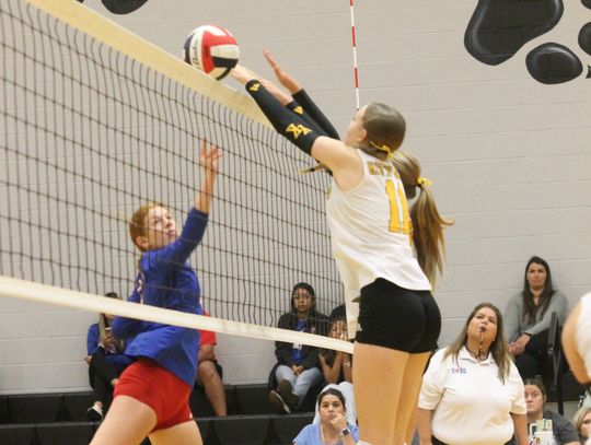 Kitty Kats win 2, lose 3
