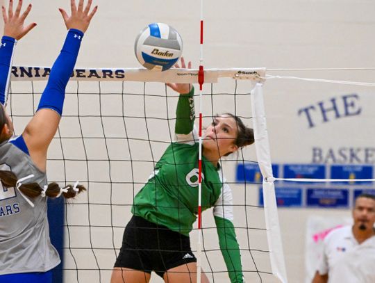 Lady Gobblers prepare for playoffs