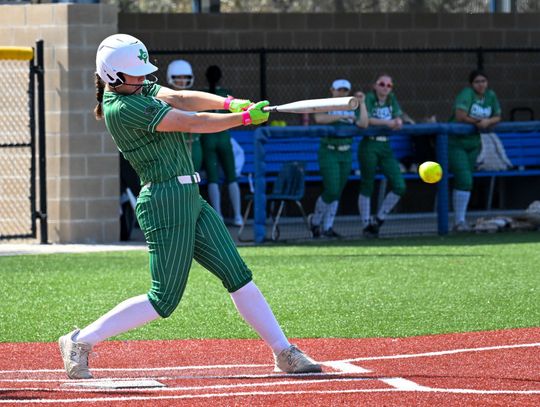 Lady Gobblers win tournament