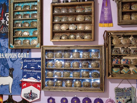 Senior Briley Wieland has earned a wall full of awards for showing her goats and lambs throughout the state. She now looks forward to helping young competitors show their animals. (Photo by Ele Chew)