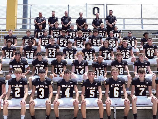 Metting, Rau lead Wildcat All-District selections