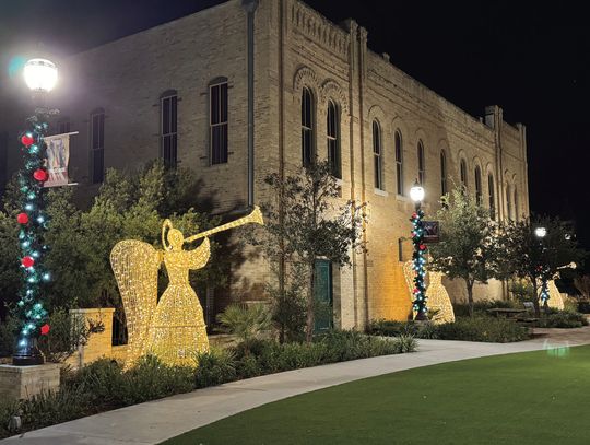 Museum angels announce new directors' arrival