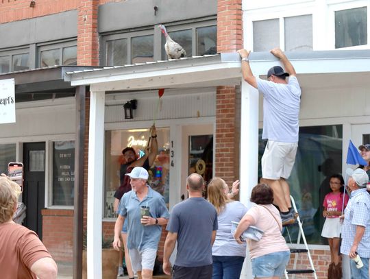 New champion soars above competition