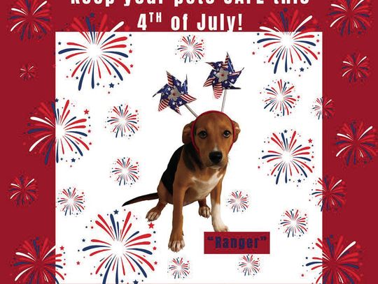 Help your pets celebrate July 4th