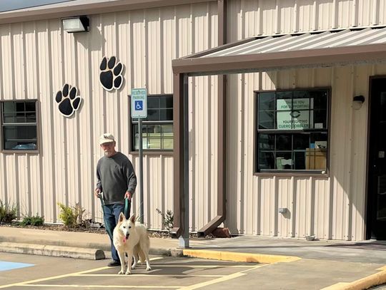 PAOC sees Thanksgiving at shelter daily