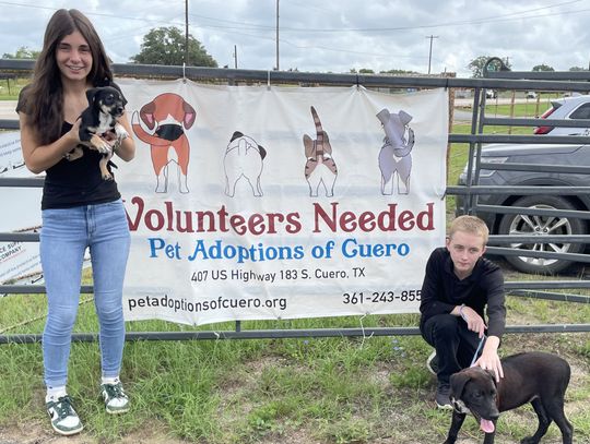 Pet shelter always needs volunteers