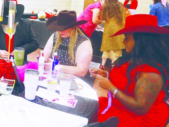 Pilot Club hosts 12th Annual Head Over Heels Gala