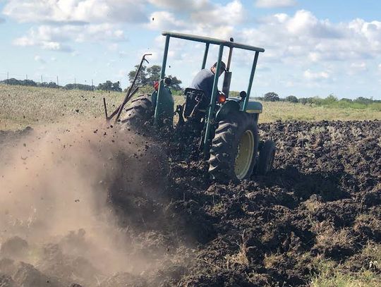 Plow Day goes on despite dry spell