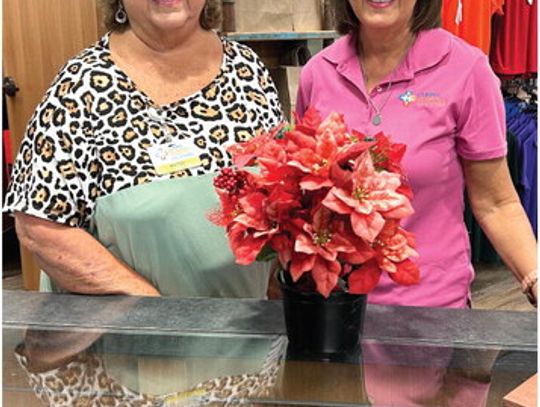 Poinsettia Orders
