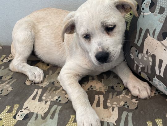 Porsche waiting for you