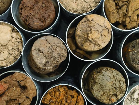 Soil testing tips for better lawns, gardens and crops this spring