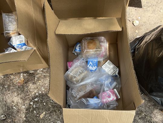 Wasted Public Food