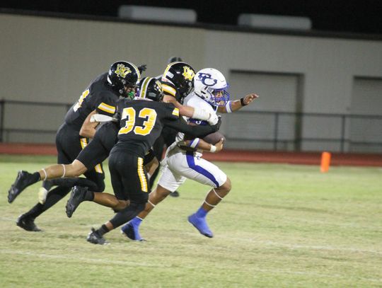 Wildcats battle early, fall to Beavers