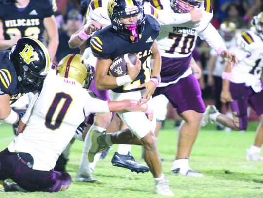 Wildcats defeather the Pettus Eagles for Homecoming
