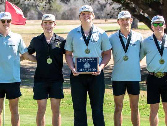 Wildcats excel in 2 tournaments