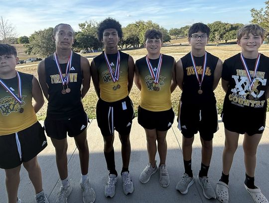 YISD Cross Country Teams place