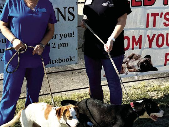 Walking the pups OLLIE and OREO – Marilyn Hajek and Stephanie Pustka. (Contributed photos)