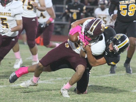 Yorktown Kitty Kats edge out Kenedy Leopards in four-set thriller