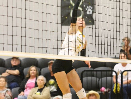 Yorktown Wildcats dominate Charlotte Trojans