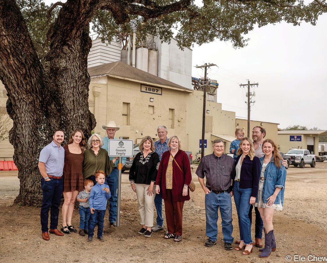 13th Naming of the Tree