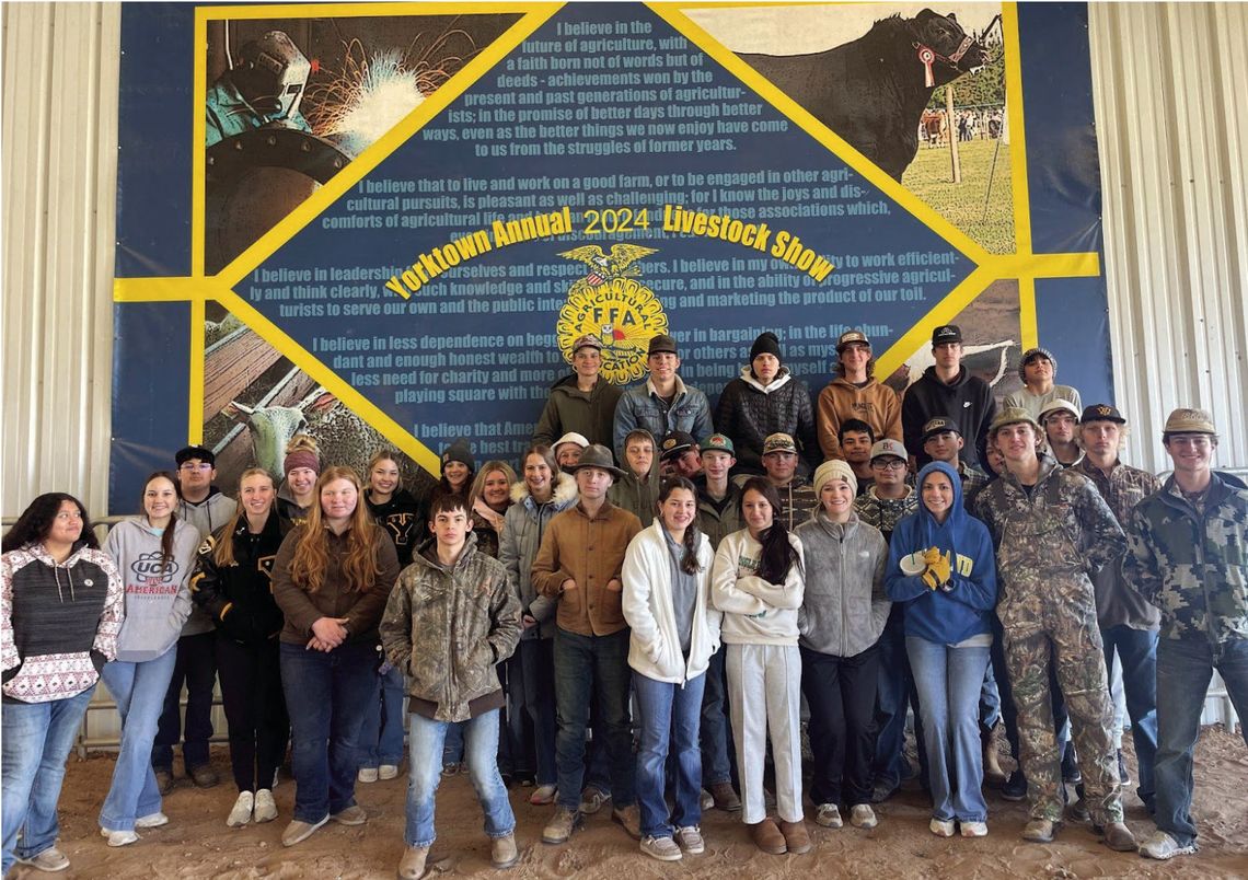 2025 Yorktown FFA Stock Show
