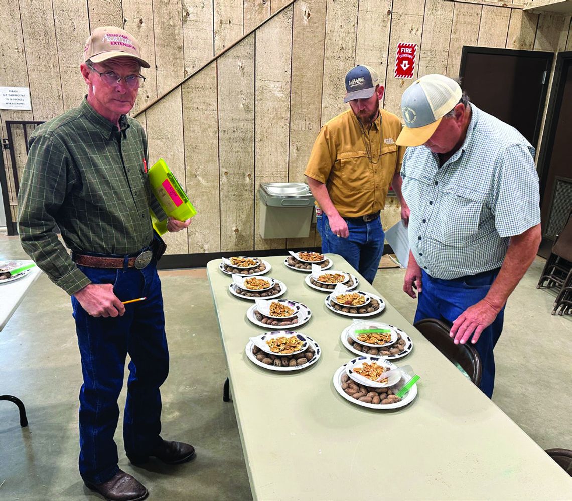 62nd Annual DeWitt County Pecan Show Results